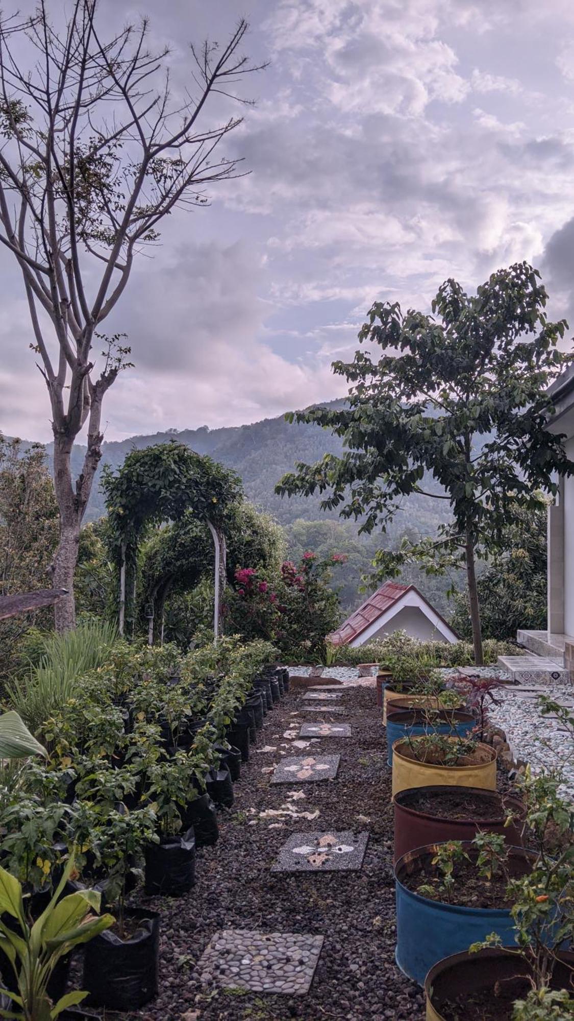 Ling & Louie'S Mountain Villa Mayong Exterior photo
